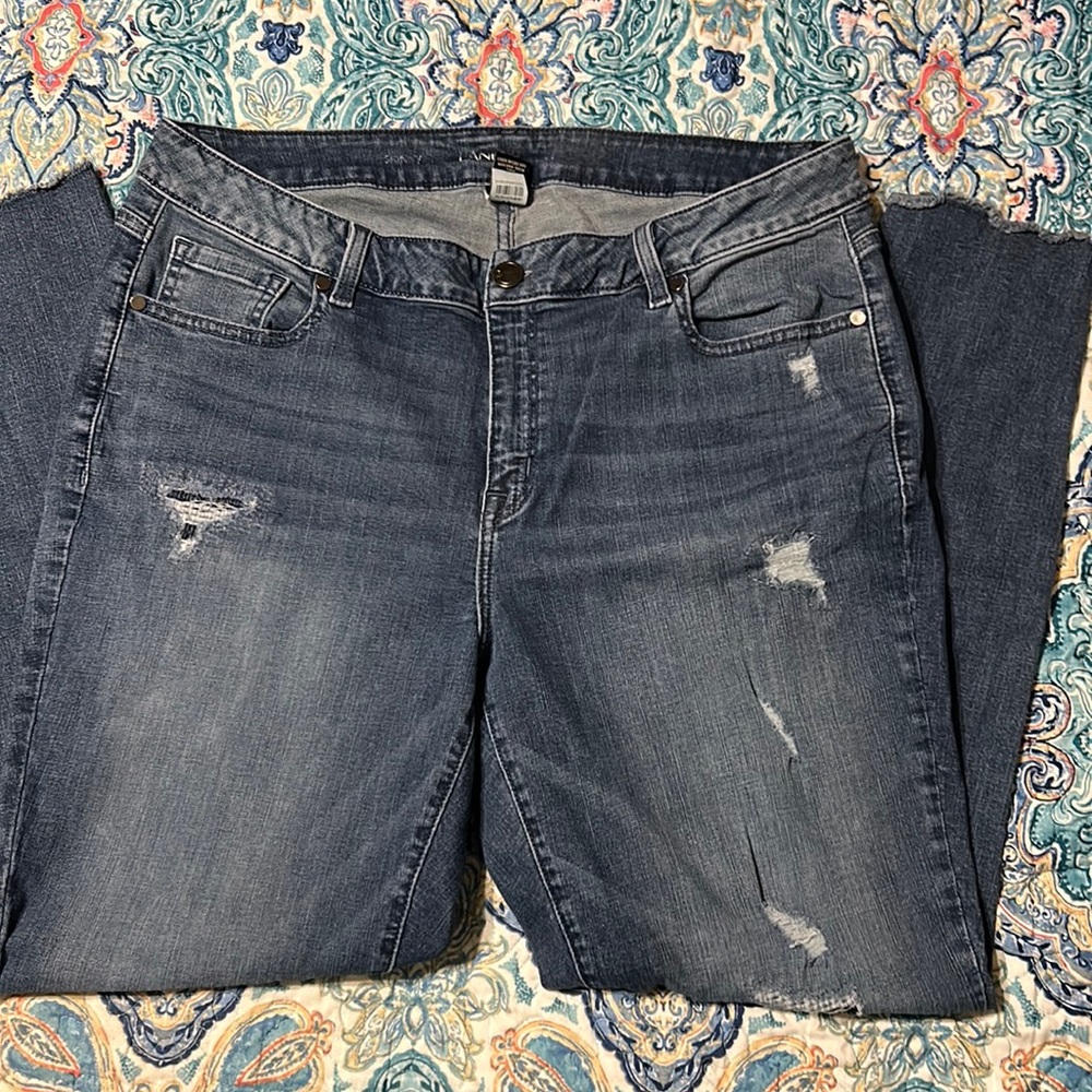Pre-loved Lane Bryant distressed skinny jeans size 18R